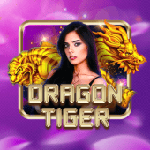 Dragon Tiger jiliok game